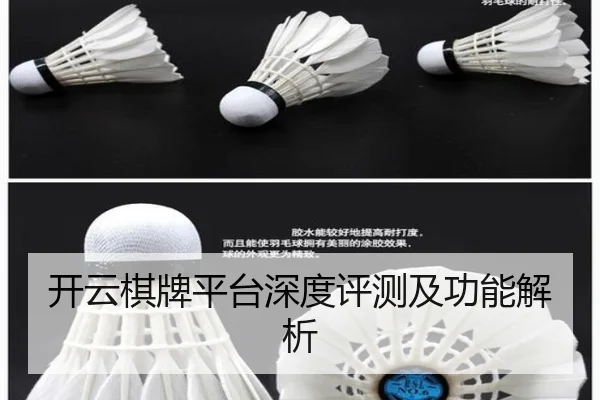 开云棋牌平台深度评测及功能解析