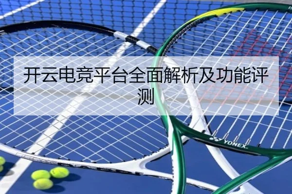 开云电竞平台全面解析及功能评测